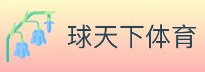 球天下体育 logo